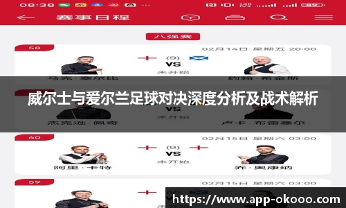 威尔士与爱尔兰足球对决深度分析及战术解析